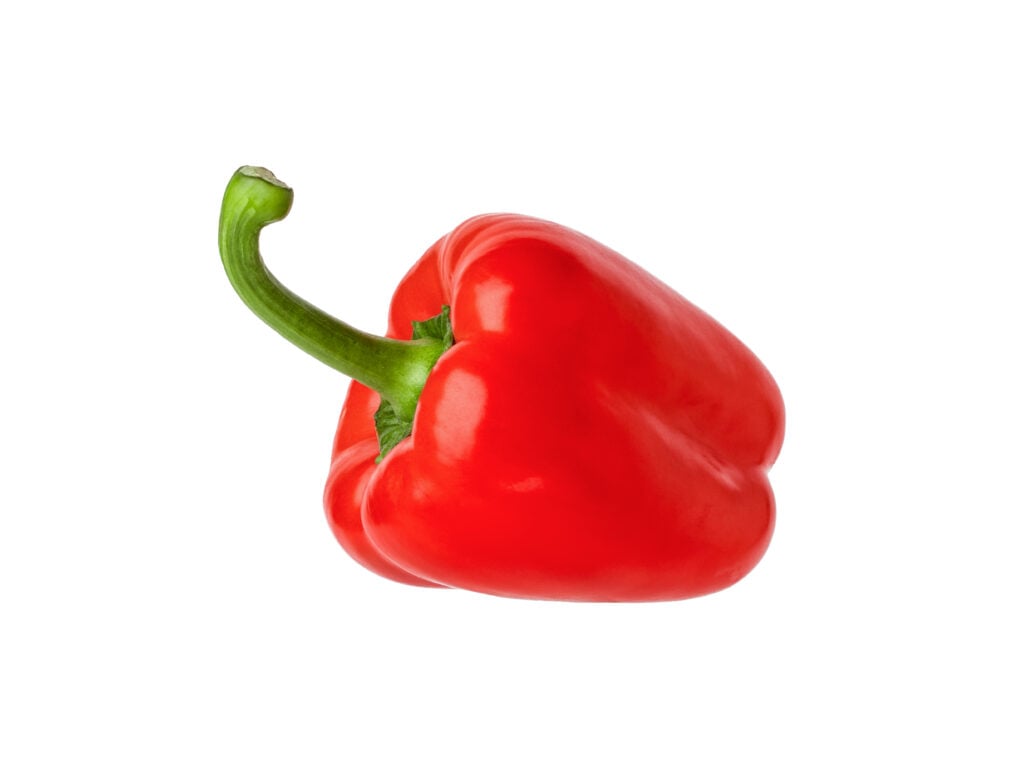 Röd paprika